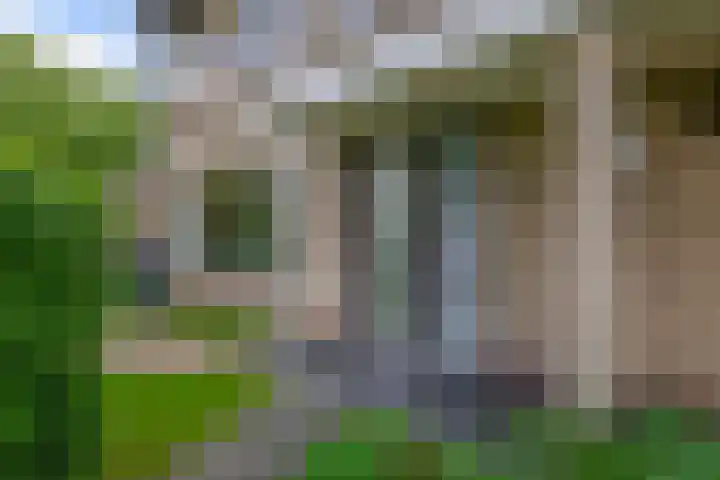 Geerland 1 Zevenbergen thumbnail 7