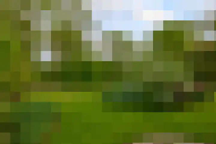 Geerland 1 Zevenbergen thumbnail 8