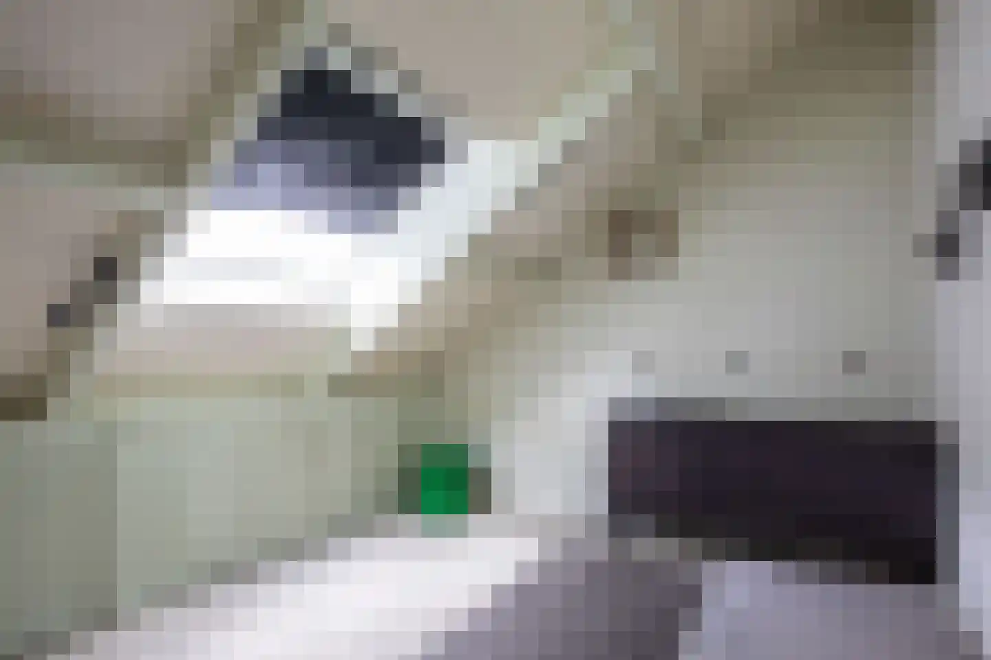 Geerland 103 Kudelstaart thumbnail 24