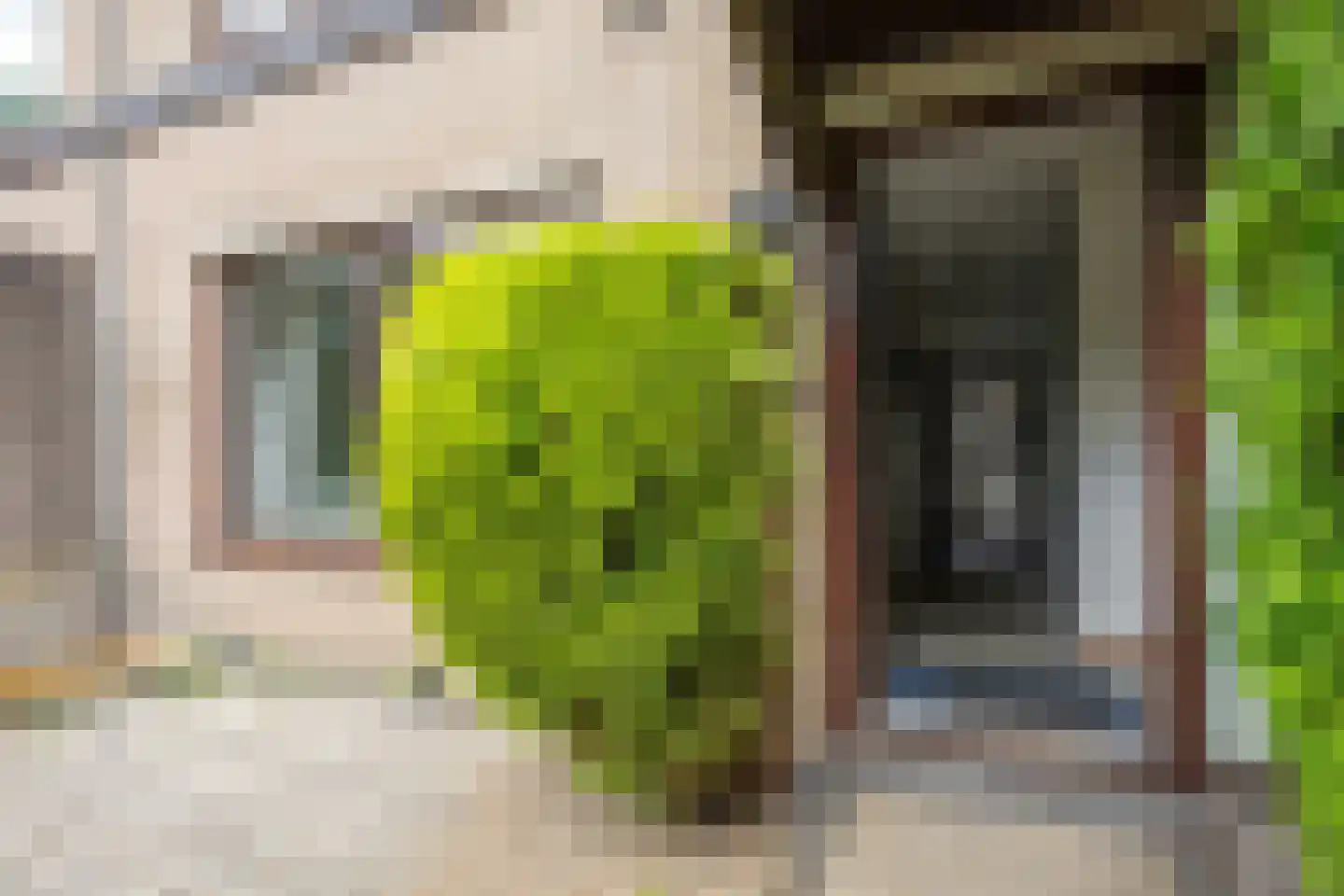 Geerland 103 Kudelstaart thumbnail 6