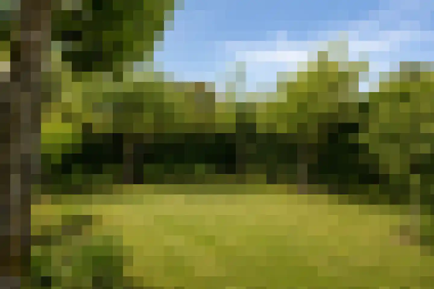 Geerland 11 Zevenbergen thumbnail 22