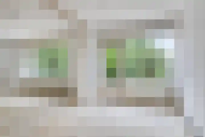 Geerland 17 Zevenbergen thumbnail 12