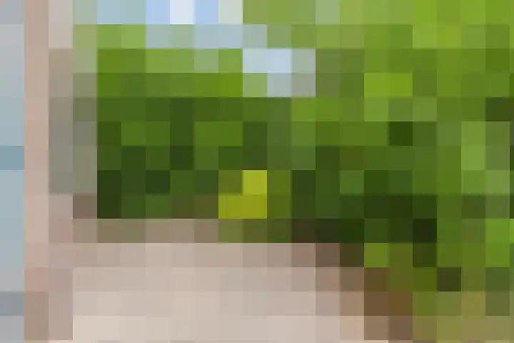 Geerland 17 Zevenbergen thumbnail 21