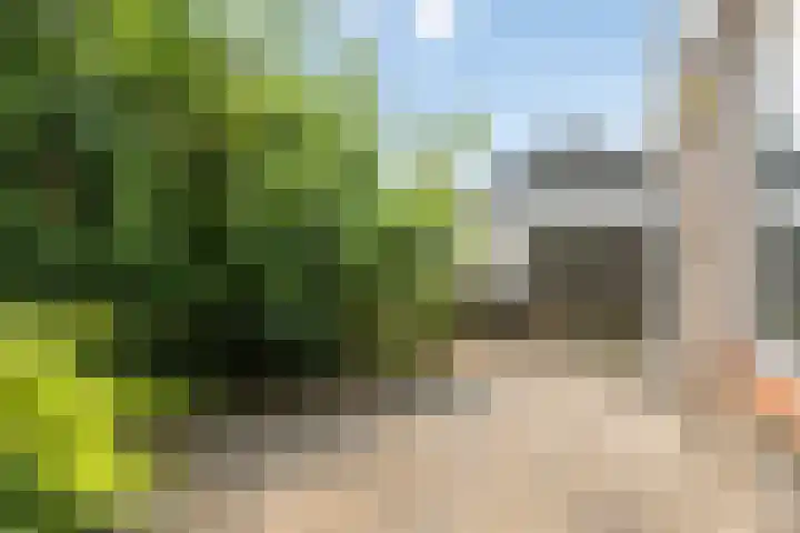 Geerland 17 Zevenbergen thumbnail 22