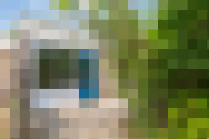 Geerland 17 Zevenbergen thumbnail 23