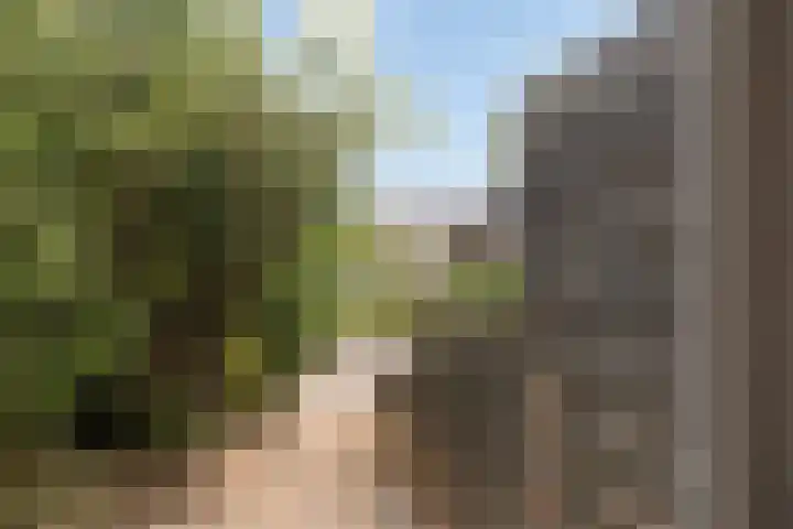 Geerland 17 Zevenbergen thumbnail 24