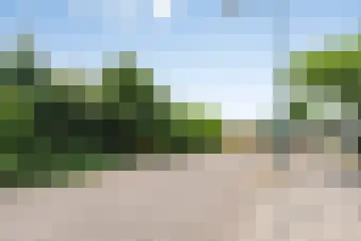Geerland 17 Zevenbergen thumbnail 27
