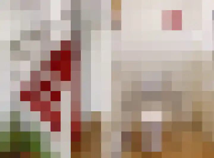 Geerland 25 Kudelstaart thumbnail 12