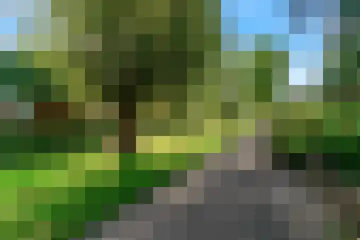 Geerland 25 Kudelstaart thumbnail 32