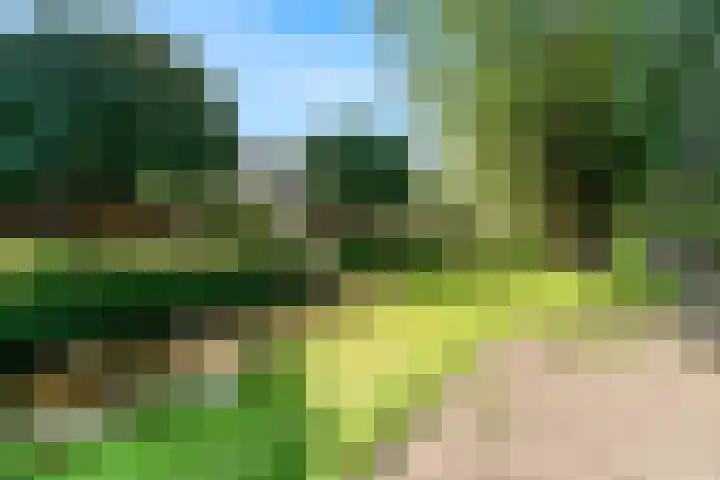 Geerland 25 Kudelstaart thumbnail 33