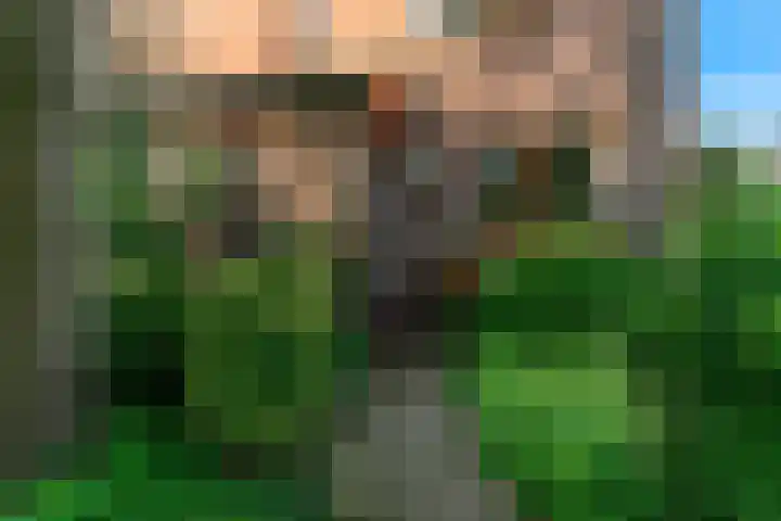 Geerland 25 Kudelstaart thumbnail 34