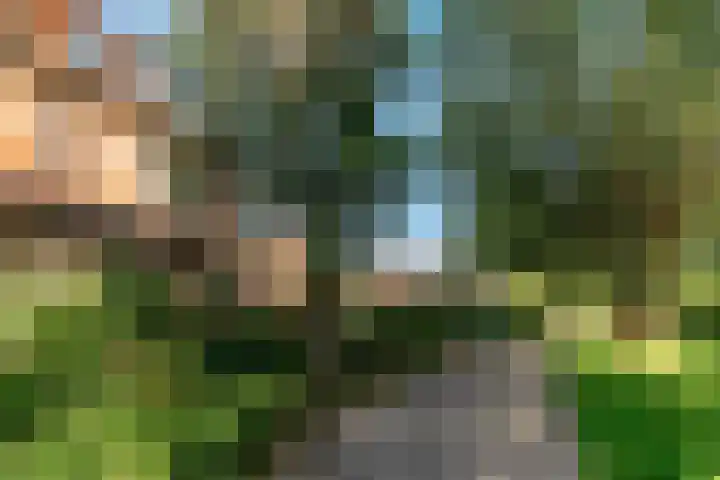 Geerland 25 Kudelstaart thumbnail 35
