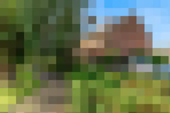 Geerland 25 Kudelstaart thumbnail 36