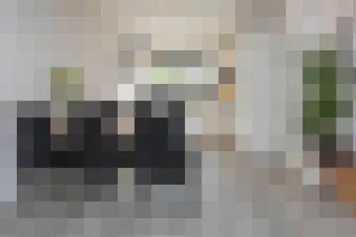 Geerland 53 Kudelstaart thumbnail 10