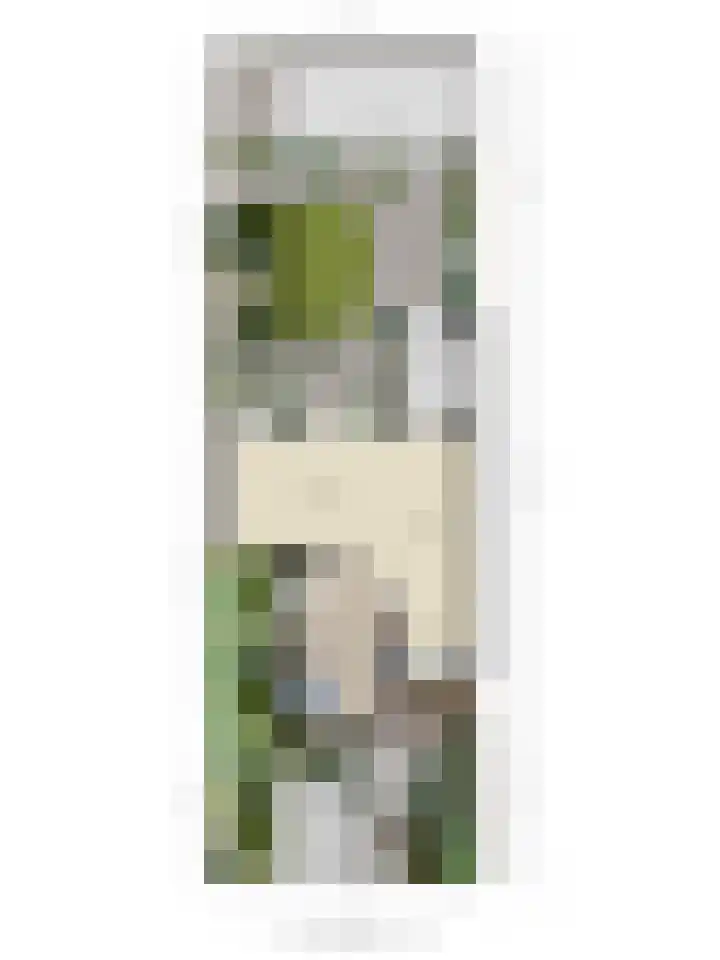 Geerland 53 Kudelstaart thumbnail 26