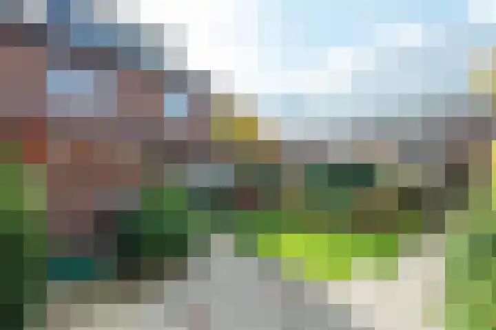 Geerland 53 Kudelstaart thumbnail 4