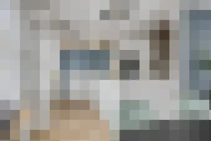 Geerland 70 Zevenbergen thumbnail 15