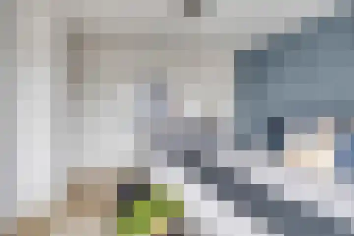 Geerland 70 Zevenbergen thumbnail 20