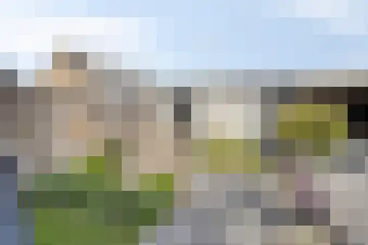 Geerland 70 Zevenbergen thumbnail 32