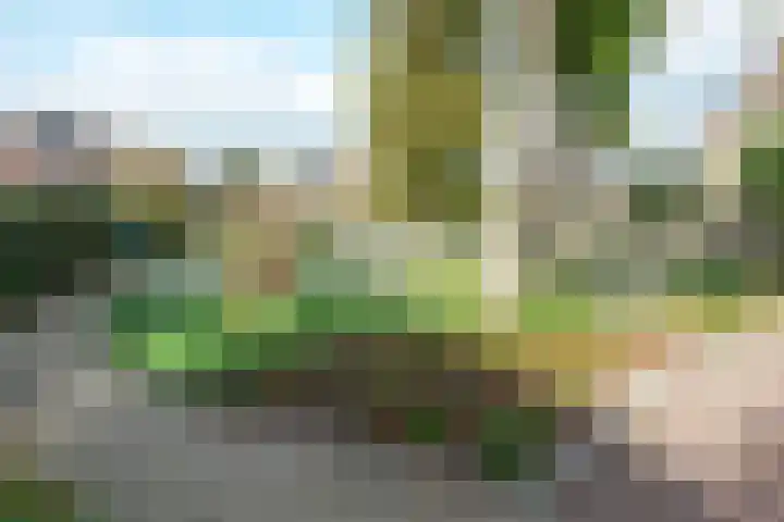 Geerland 84 Kudelstaart thumbnail 21