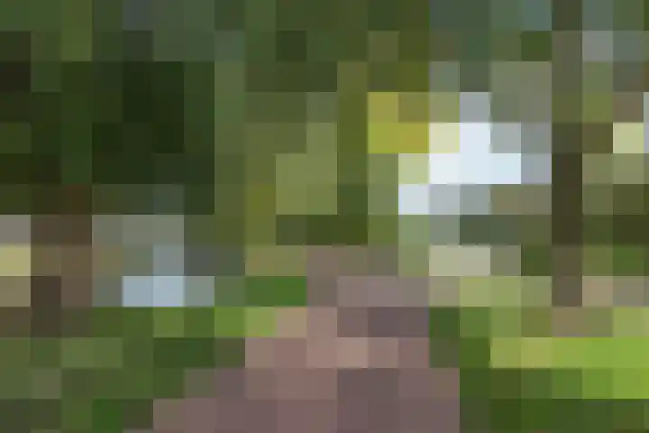 Geerland 84 Kudelstaart thumbnail 22