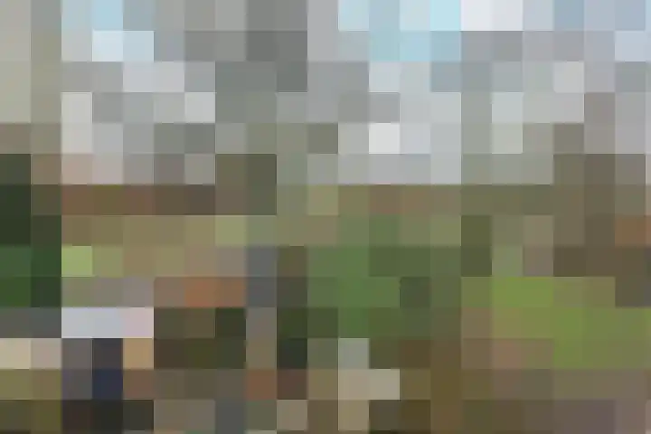 Geerland 84 Kudelstaart thumbnail 4