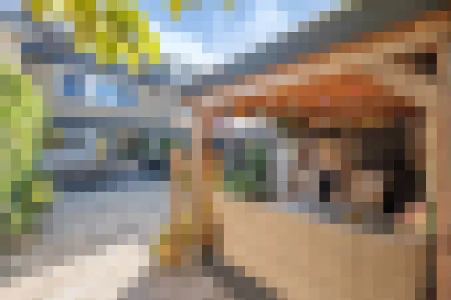 Geerland 88 Zevenbergen thumbnail 19