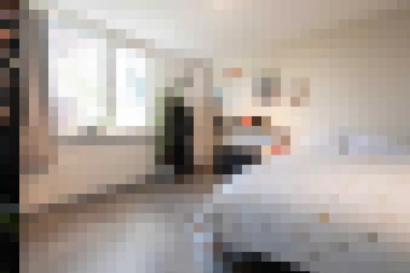 Geerland 88 Zevenbergen thumbnail 28