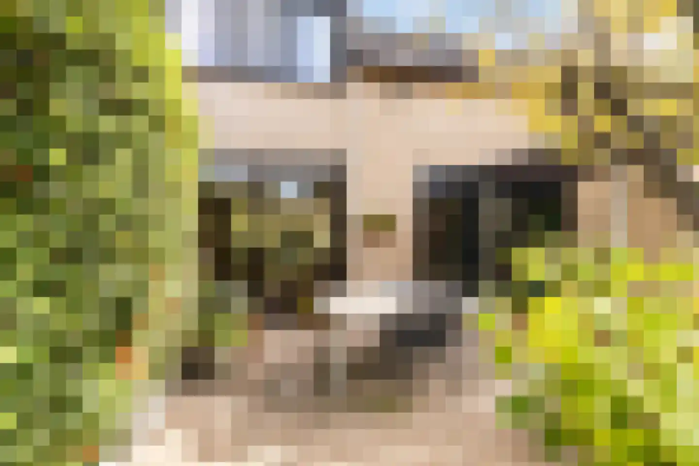 Geerland 9 Zevenbergen thumbnail 23