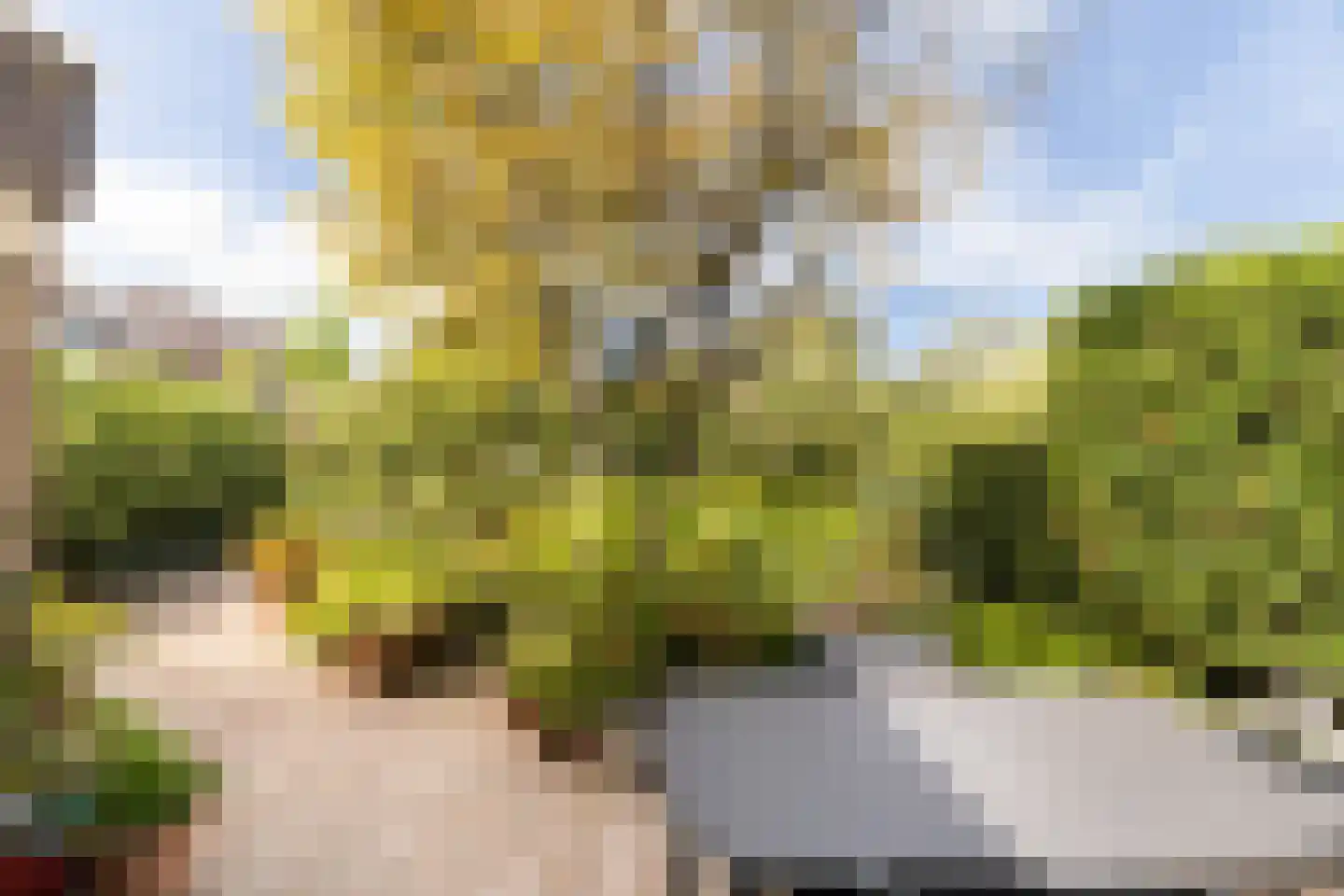 Geerland 9 Zevenbergen thumbnail 47
