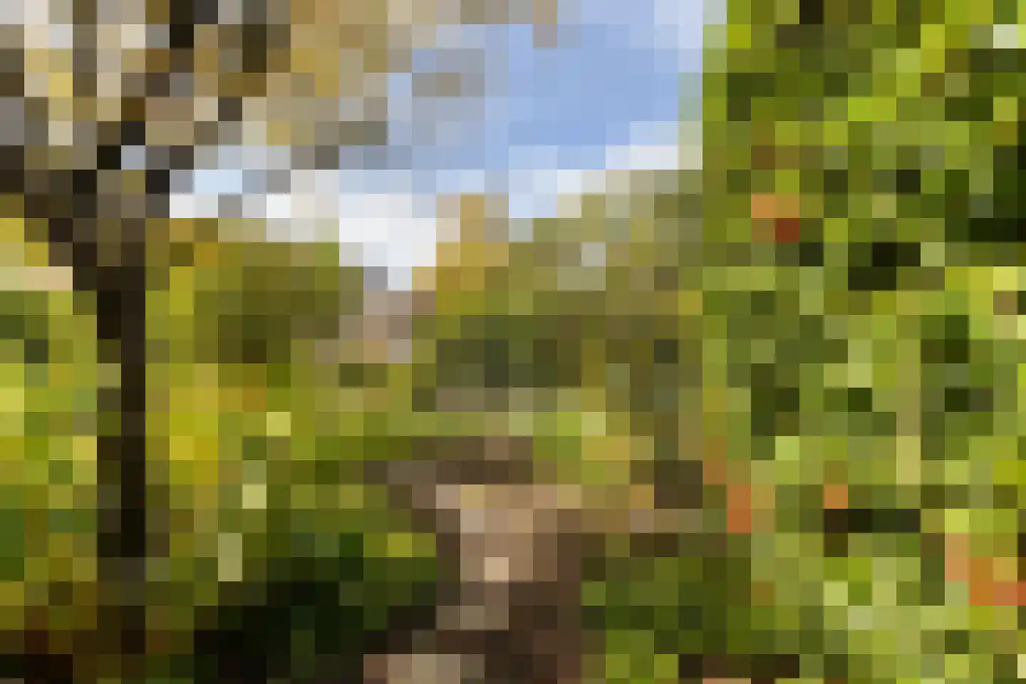 Geerland 9 Zevenbergen thumbnail 48