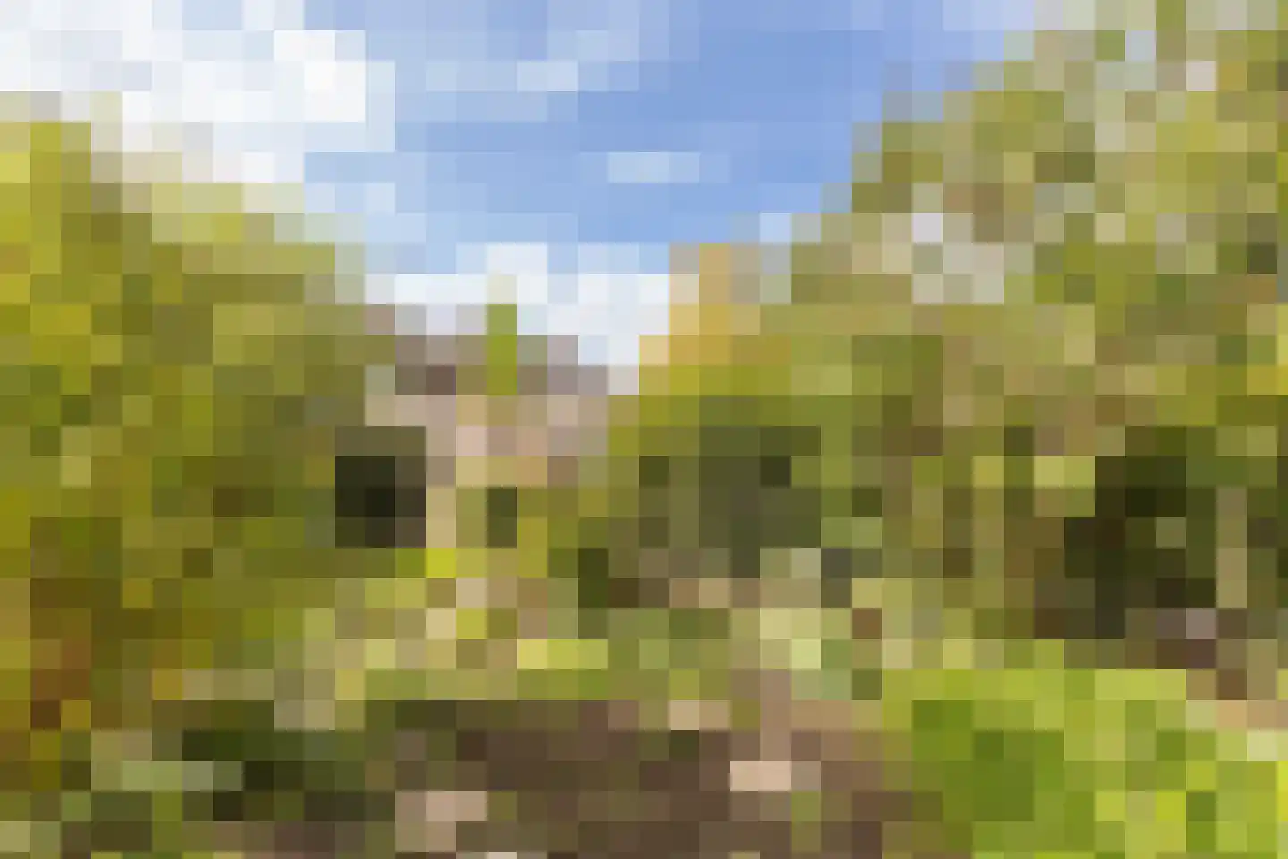 Geerland 9 Zevenbergen thumbnail 49