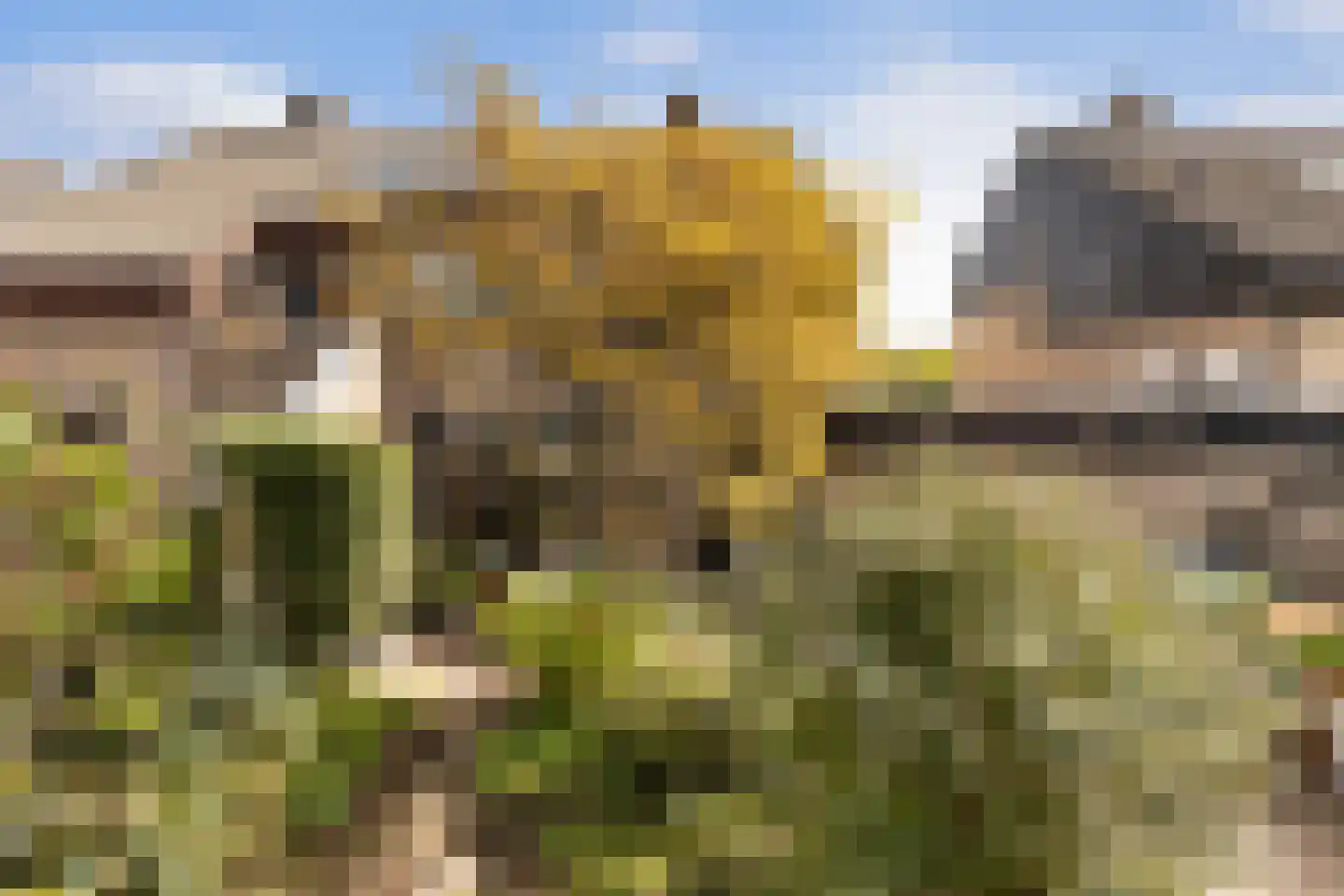 Geerland 9 Zevenbergen thumbnail 50