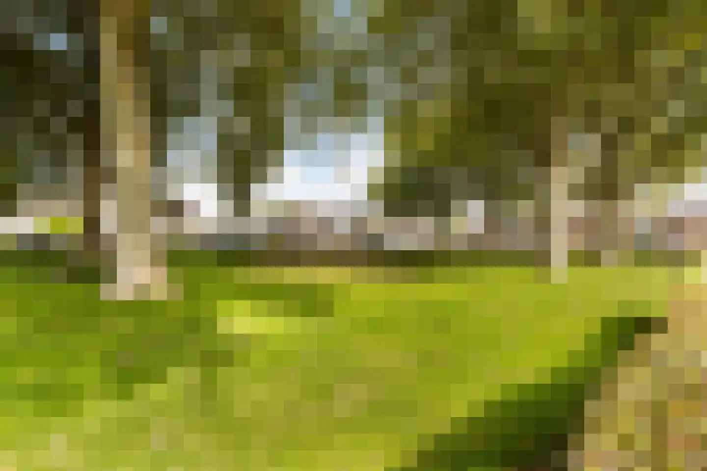 Geerland 9 Zevenbergen thumbnail 52