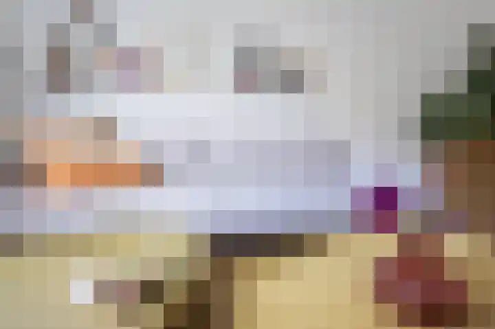 Geerlanden 12 Assen thumbnail 17