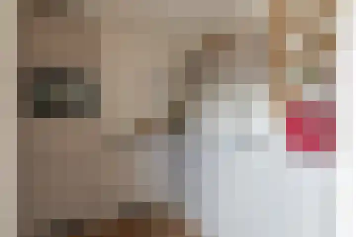 Geerlanden 12 Assen thumbnail 22