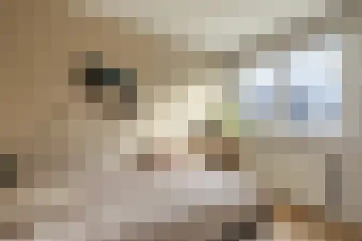 Geerlanden 12 Assen thumbnail 30