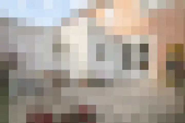 Geerlanden 12 Assen thumbnail 37