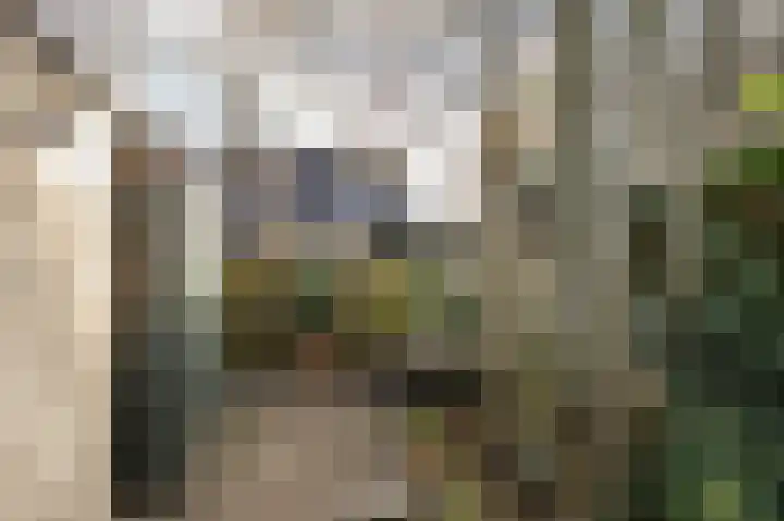 Geerlanden 12 Assen thumbnail 39