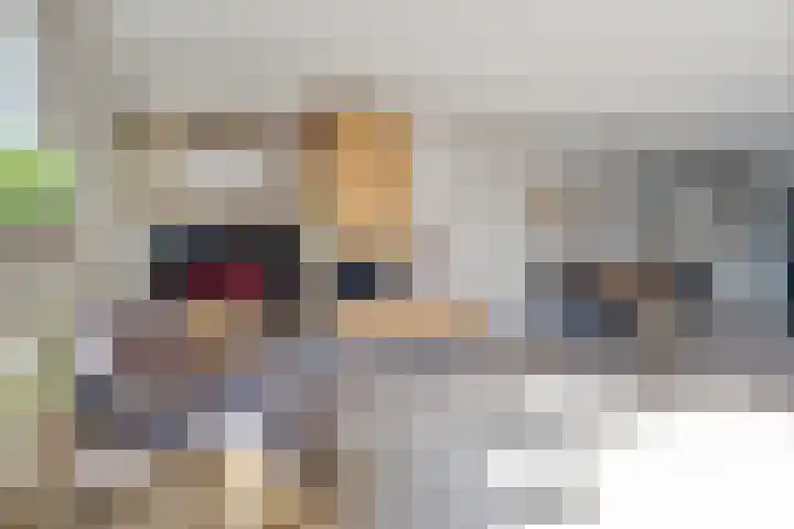 Geerlanden 27 Assen thumbnail 12