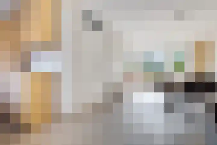 Geerlanden 27 Assen thumbnail 15