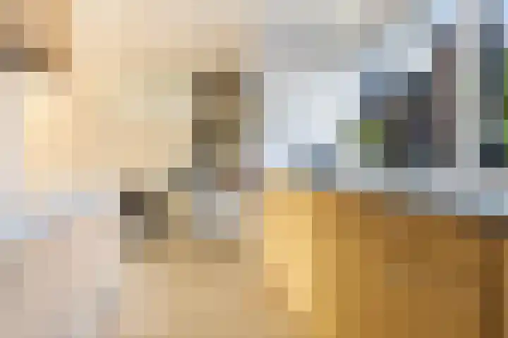 Geerlanden 27 Assen thumbnail 18