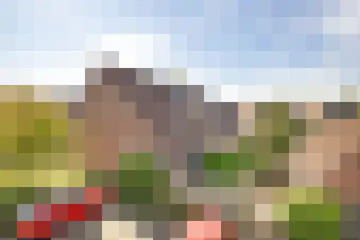 Geerlanden 27 Assen thumbnail 41