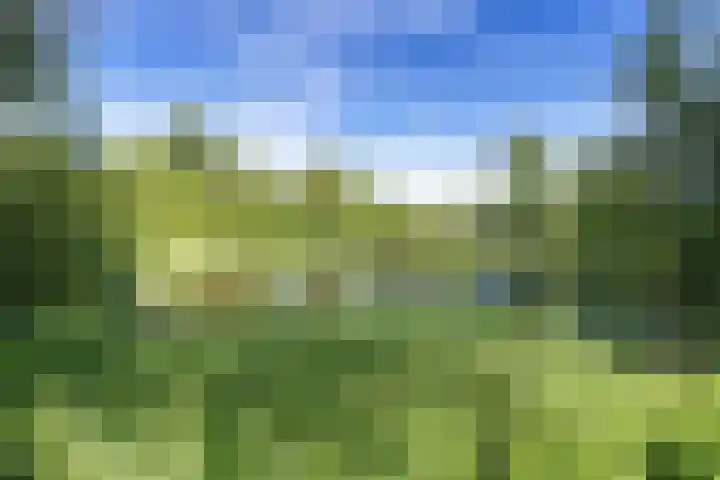 Geerlanden 27 Assen thumbnail 42
