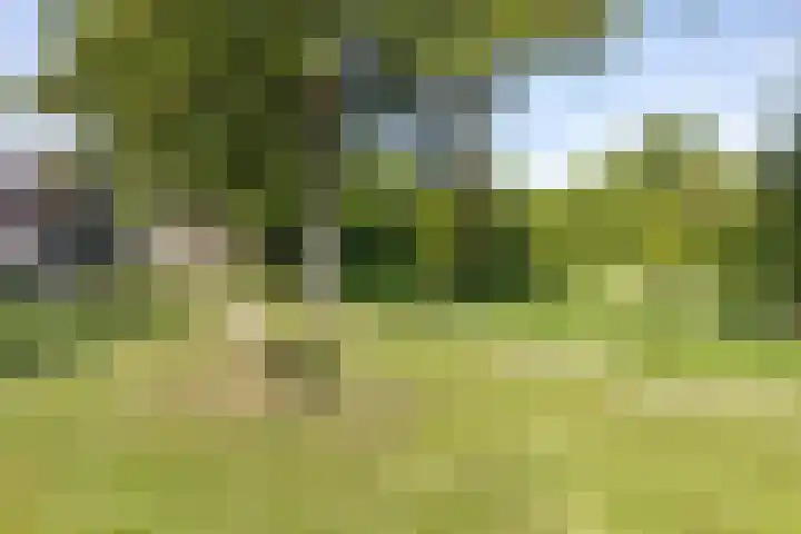Geerlanden 27 Assen thumbnail 43