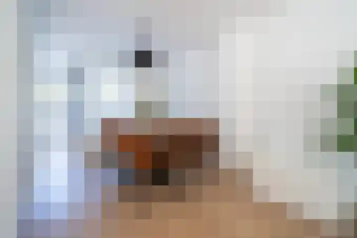 Geerlanden 5 Assen thumbnail 10