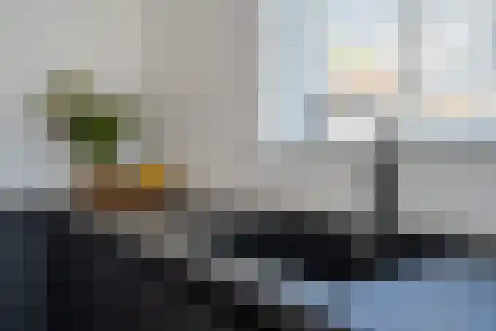 Geerlanden 5 Assen thumbnail 16