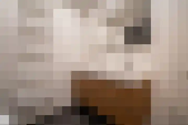 Geerlanden 5 Assen thumbnail 26