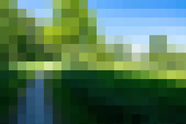 Geerlanden 5 Assen thumbnail 35