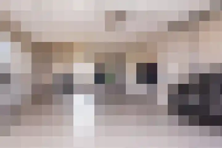 Geerling 19 Bovenkarspel thumbnail 14